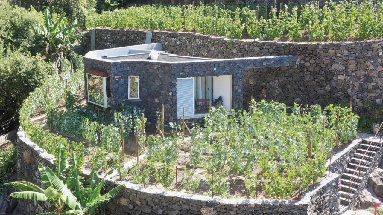 Socalco Nature Calheta Calheta  Zewnętrze zdjęcie